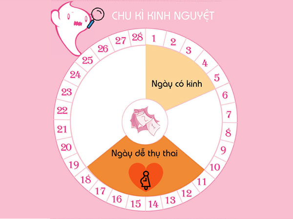 Mối quan hệ giữa chu kỳ kinh nguyệt và việc tránh thai an toàn