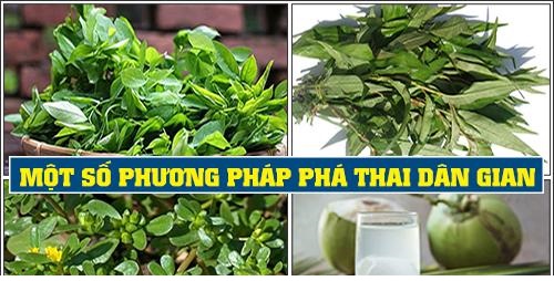 Phá thai bằng thuốc dân gian